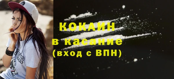 стафф Алзамай