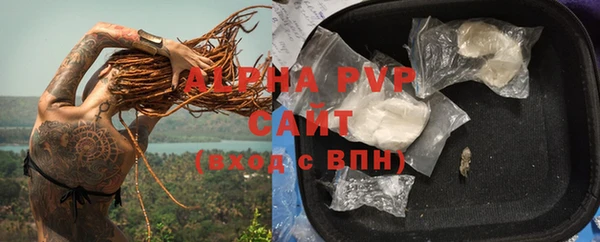стафф Алексин