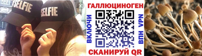 Псилоцибиновые грибы Psilocybine cubensis Юрьев-Польский